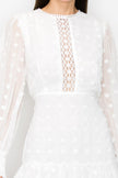 Skye Cloud Embroidered High Waist 3D Appliques Ruffle Hem Flare Dress