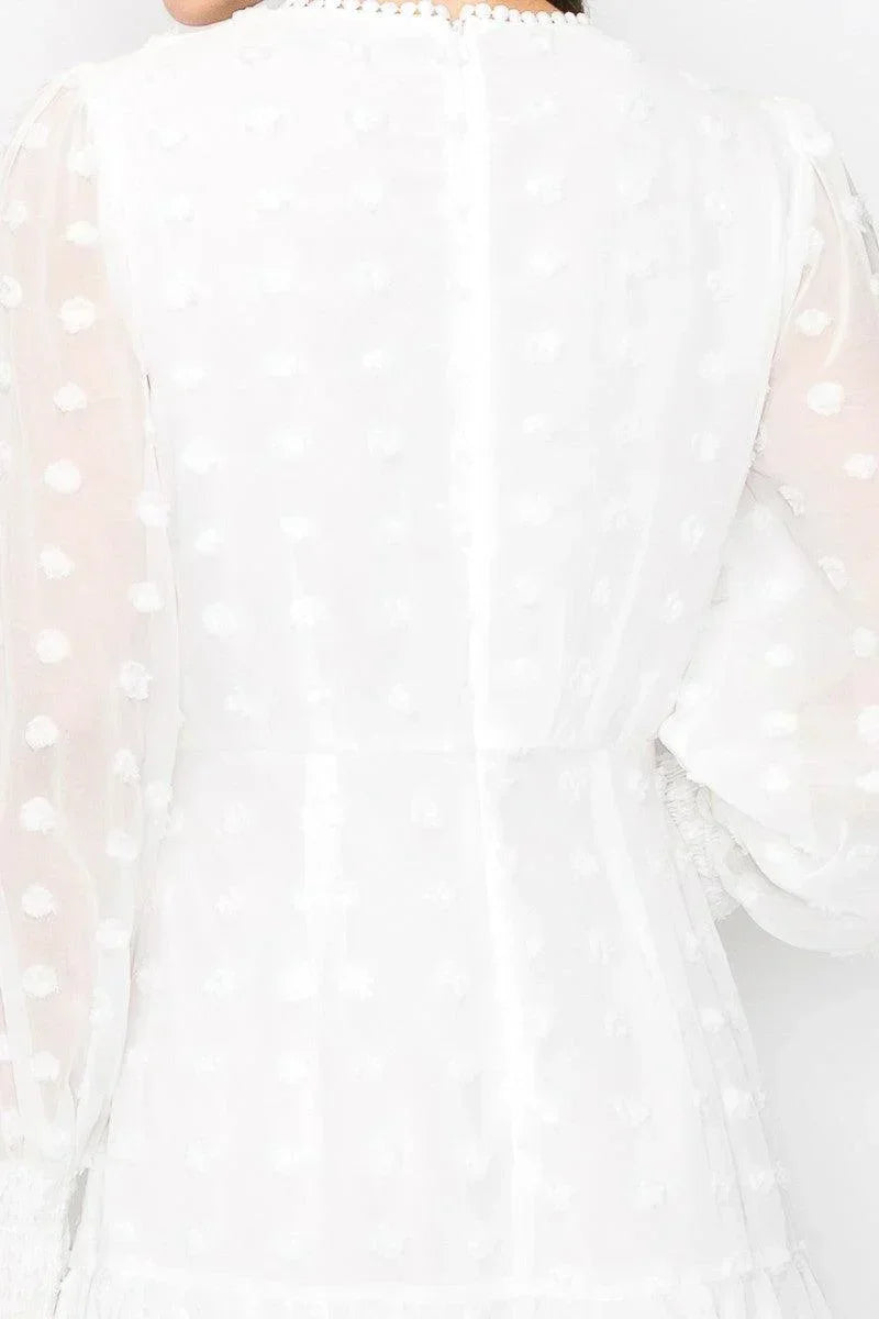 Skye Cloud Embroidered High Waist 3D Appliques Ruffle Hem Flare Dress