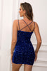 Sequin Double-Strap Bodycon Dress - Cape Cod Fashionista