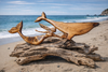 Cape Cod Hand-Carved Mermaid & Whale Wood Sculpture – Coastal Beach House Wall Art by D.Q.R.