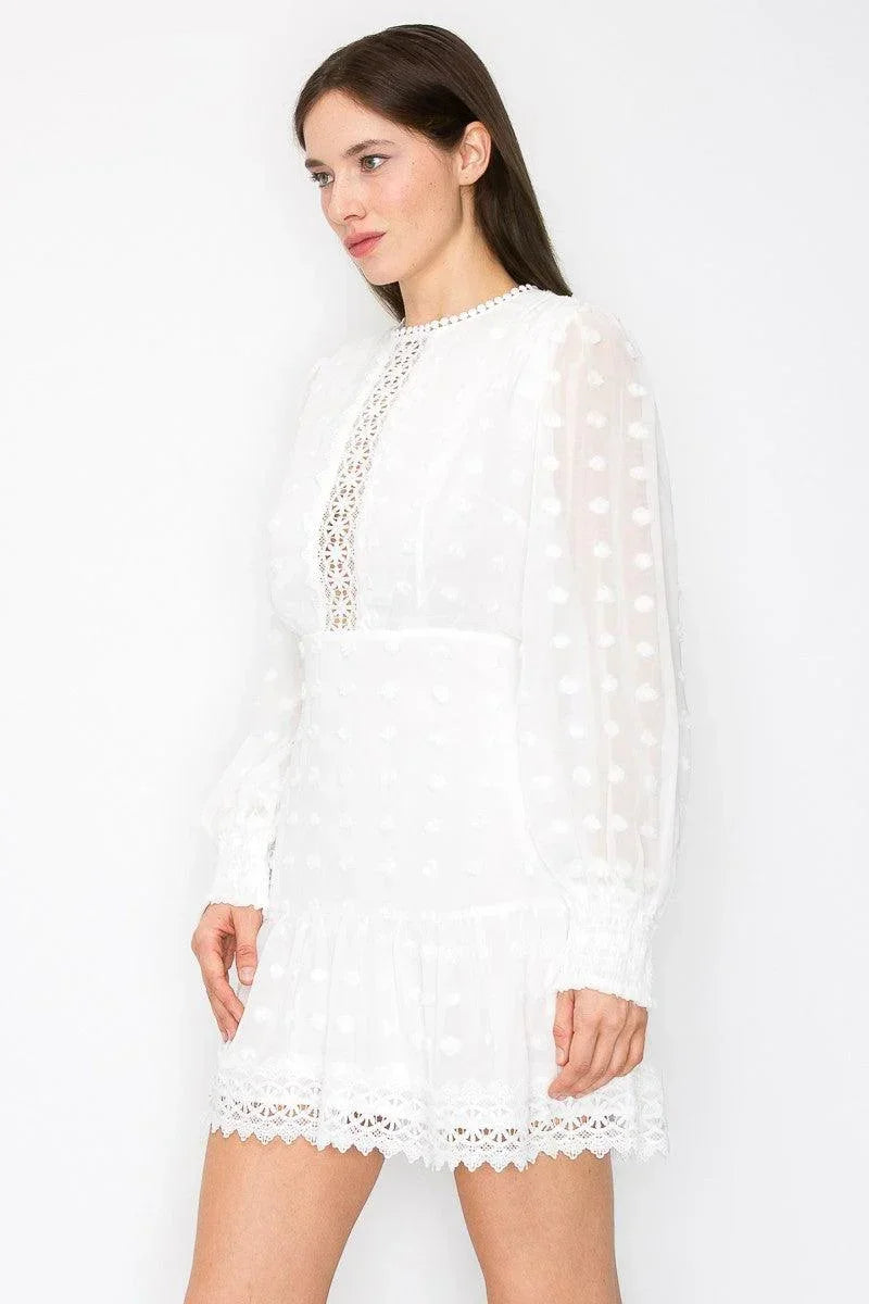 Skye Cloud Embroidered High Waist 3D Appliques Ruffle Hem Flare Dress