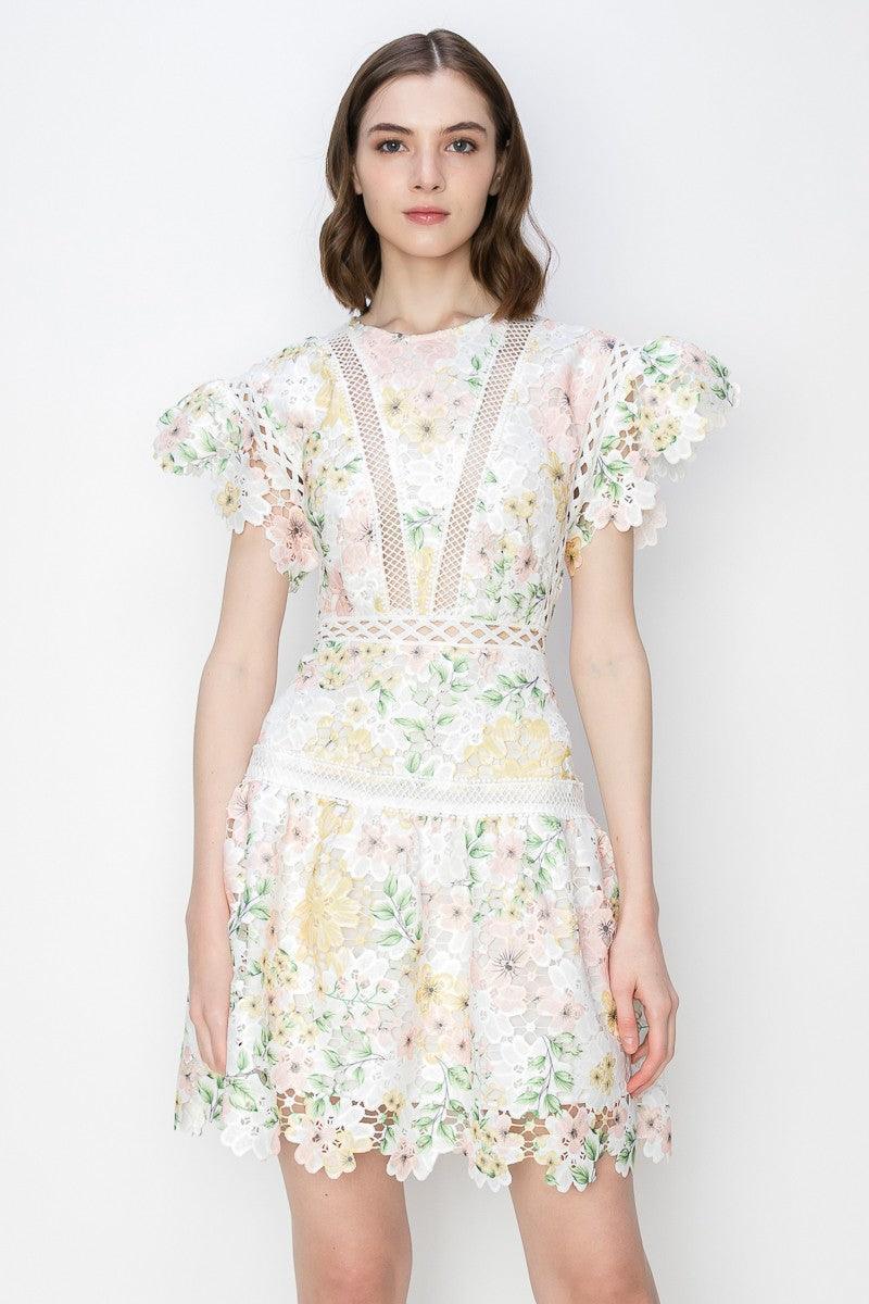 Flutter Sleeves Floral Print Ruffle Hem Mini Dress