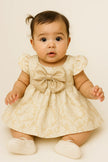 IRIS & IVY Bow Jacquard  Baby Dress NWOT 12 months - Cape Cod Fashionista
