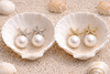women starfish pearl earrings gold and silver coastal beach display