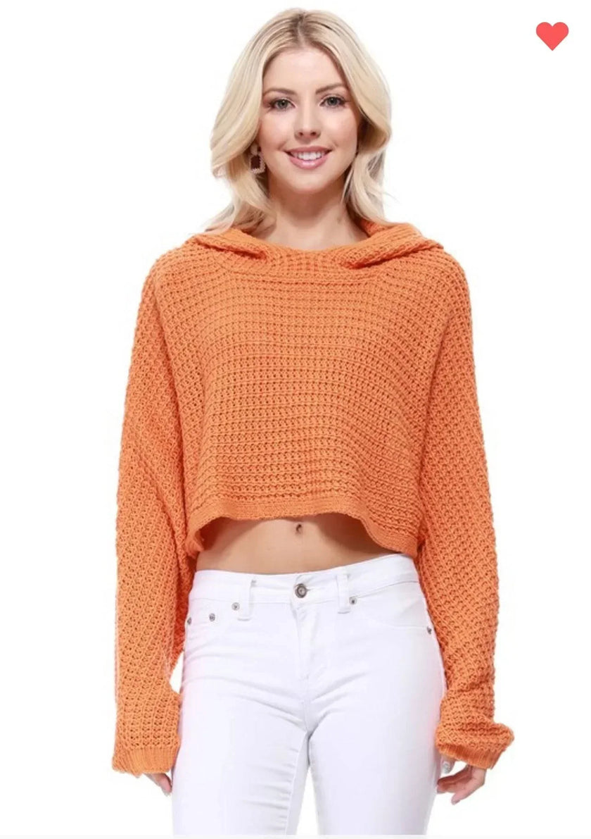 Summer Knit Cropped Crochet Knit Hoodie