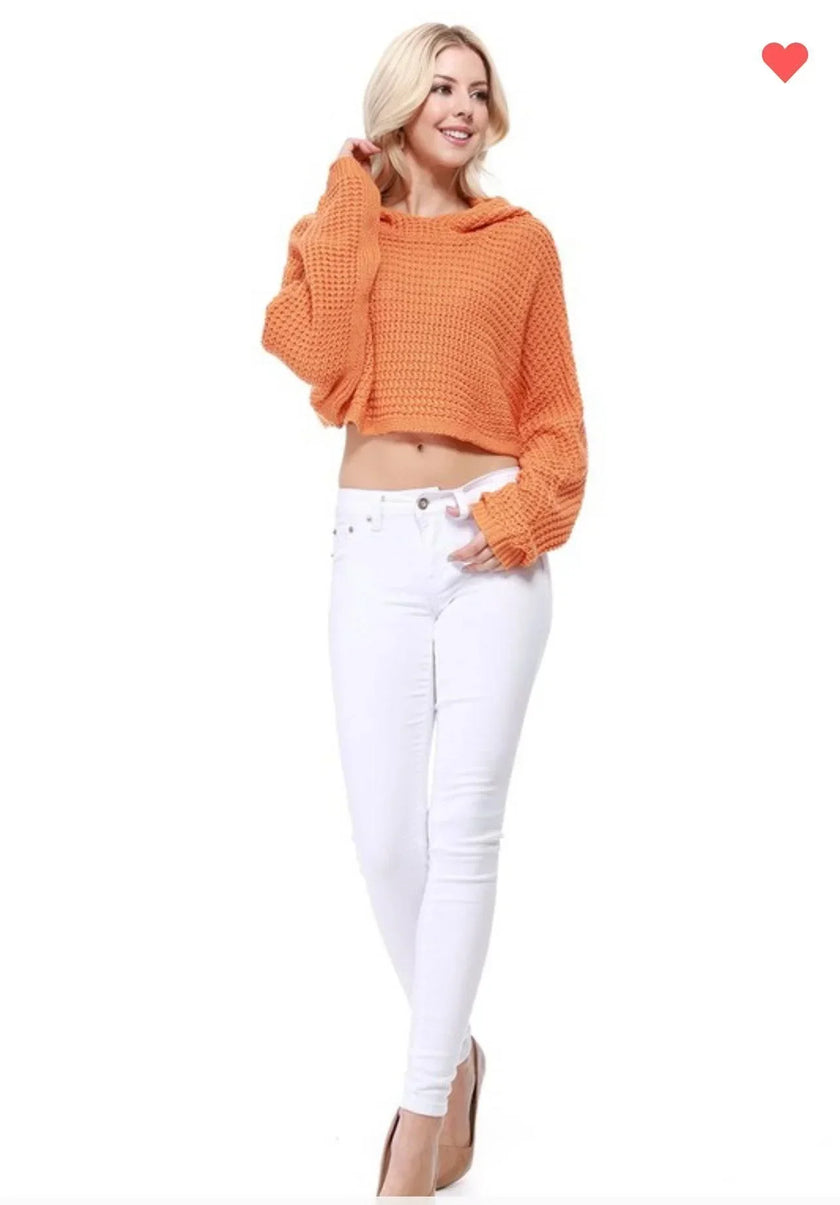 Summer Knit Cropped Crochet Knit Hoodie