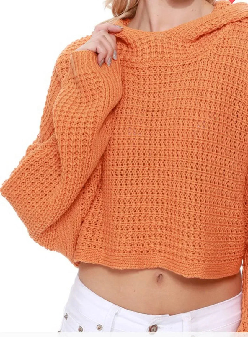 Summer Knit Cropped Crochet Knit Hoodie