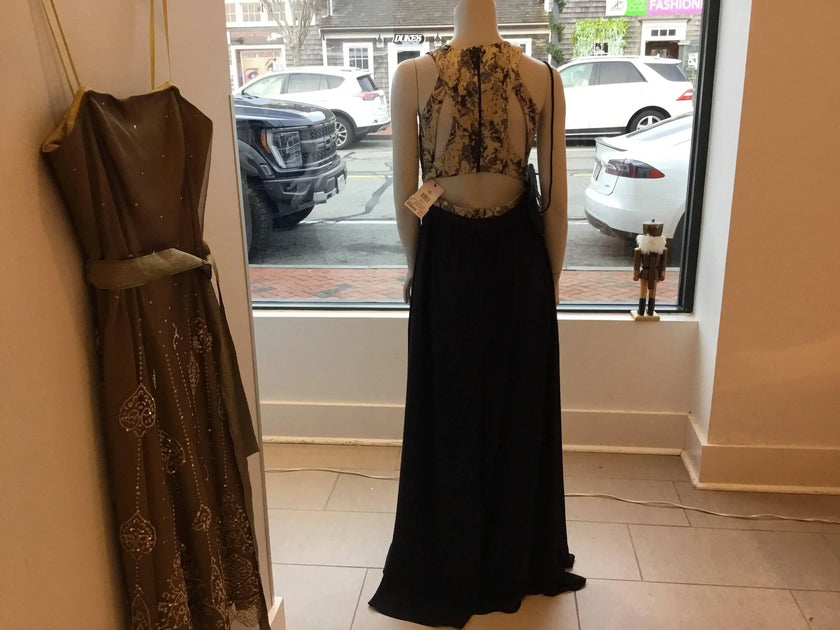 Prose & Poetry Dress Maxi 4 NWT